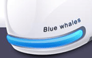 Blue whalesͼ